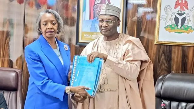 Mrs May Agbamuche-Mbu INEC